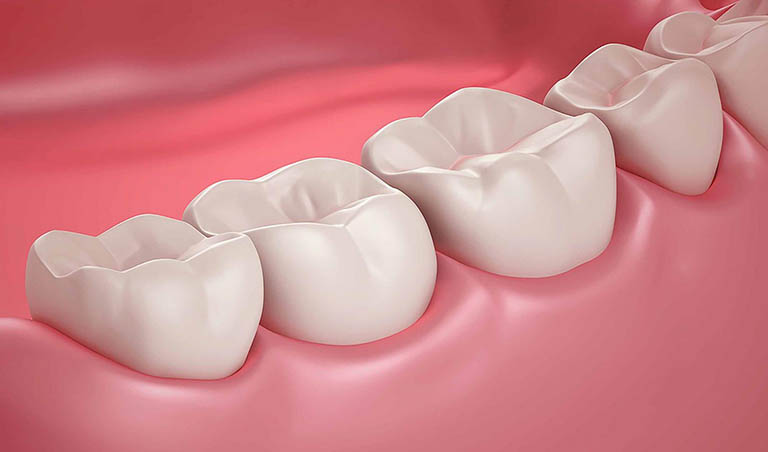 răng hàm là gì