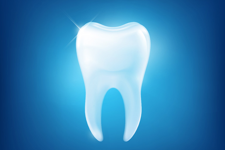 Cùng với men răng, ống tủy và tủy răng, ngà răng cấu thành nên răng